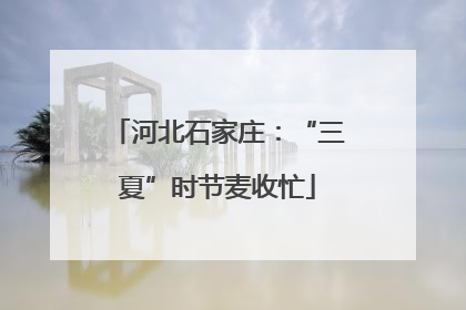 河北石家庄：“三夏”时节麦收忙