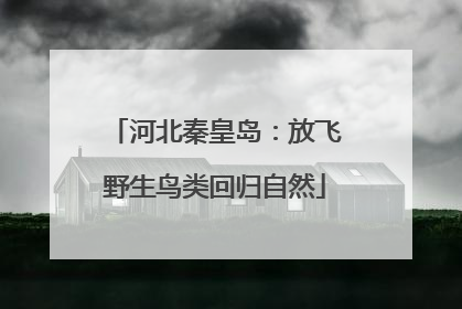 河北秦皇岛：放飞野生鸟类回归自然