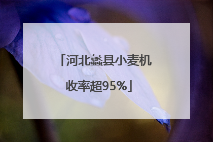 河北蠡县小麦机收率超95%