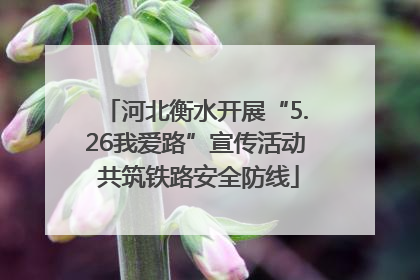河北衡水开展“5.26我爱路”宣传活动 共筑铁路安全防线