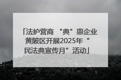 法护营商 “典”惠企业 黄陂区开展2025年“民法典宣传月”活动