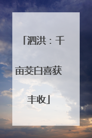 泗洪：千亩茭白喜获丰收