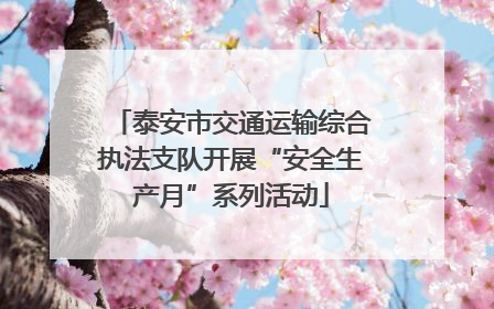 泰安市交通运输综合执法支队开展“安全生产月”系列活动