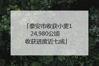 泰安市收获小麦124,980公顷 收获进度近七成