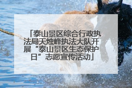 泰山景区综合行政执法局天烛峰执法大队开展“泰山景区生态保护日”志愿宣传活动