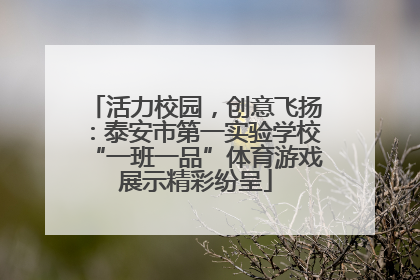 活力校园，创意飞扬：泰安市第一实验学校“一班一品”体育游戏展示精彩纷呈