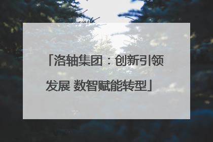 洛轴集团：创新引领发展 数智赋能转型