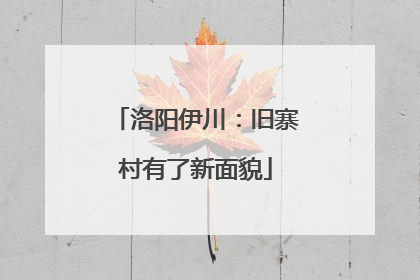 洛阳伊川：旧寨村有了新面貌