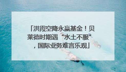 洪霞空降永赢基金！贝莱德时期遇“水土不服”，国际业务难言乐观