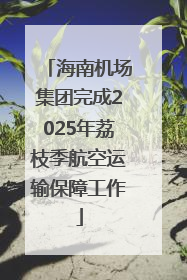 海南机场集团完成2025年荔枝季航空运输保障工作