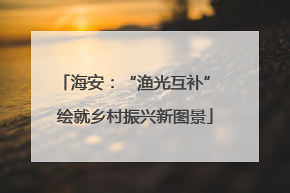 海安：“渔光互补” 绘就乡村振兴新图景