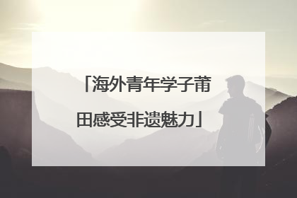 海外青年学子莆田感受非遗魅力