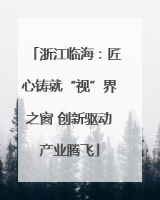浙江临海：匠心铸就“视”界之窗 创新驱动产业腾飞