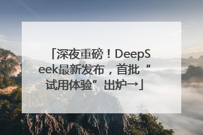 深夜重磅！DeepSeek最新发布，首批“试用体验”出炉→