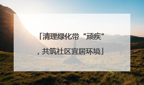 清理绿化带“顽疾”，共筑社区宜居环境