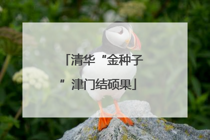 清华“金种子”津门结硕果
