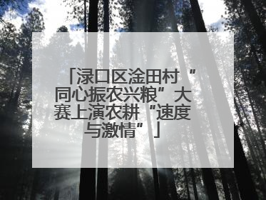 渌口区淦田村“同心振农兴粮”大赛上演农耕“速度与激情”