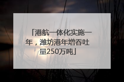 港航一体化实施一年，潍坊港年增吞吐量250万吨