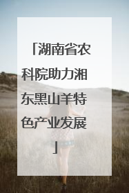 湖南省农科院助力湘东黑山羊特色产业发展