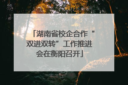 湖南省校企合作“双进双转”工作推进会在衡阳召开