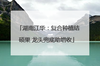 湖南江华：复合种植结硕果 龙头兜底助增收