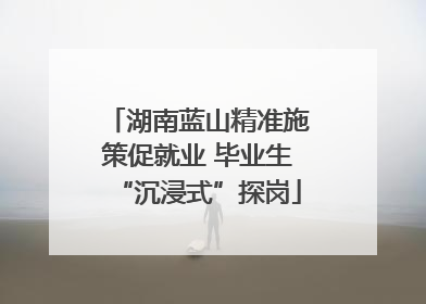 湖南蓝山精准施策促就业 毕业生“沉浸式”探岗