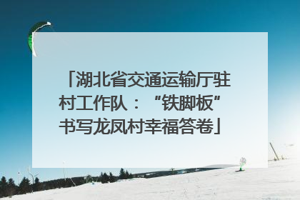 湖北省交通运输厅驻村工作队：“铁脚板”书写龙凤村幸福答卷