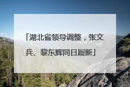 湖北省领导调整，张文兵、黎东辉同日履新