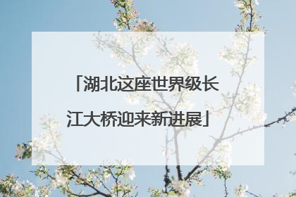 湖北这座世界级长江大桥迎来新进展