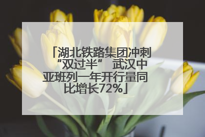湖北铁路集团冲刺“双过半” 武汉中亚班列一年开行量同比增长72%