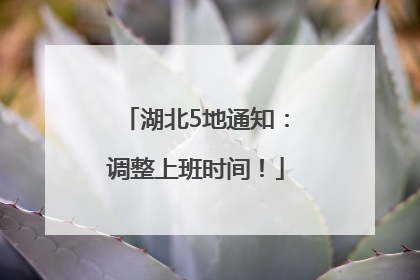 湖北5地通知：调整上班时间！