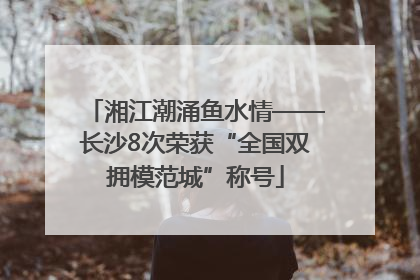 湘江潮涌鱼水情——长沙8次荣获“全国双拥模范城”称号