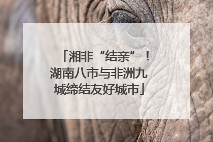 湘非“结亲”！湖南八市与非洲九城缔结友好城市