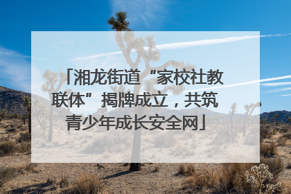 湘龙街道“家校社教联体”揭牌成立，共筑青少年成长安全网