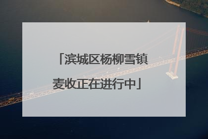 滨城区杨柳雪镇麦收正在进行中