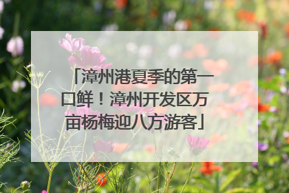漳州港夏季的第一口鲜！漳州开发区万亩杨梅迎八方游客