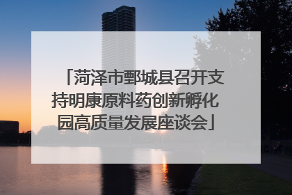 菏泽市鄄城县召开支持明康原料药创新孵化园高质量发展座谈会