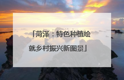 菏泽：特色种植绘就乡村振兴新图景