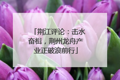 荆江评论：击水奋楫，荆州龙舟产业正破浪前行