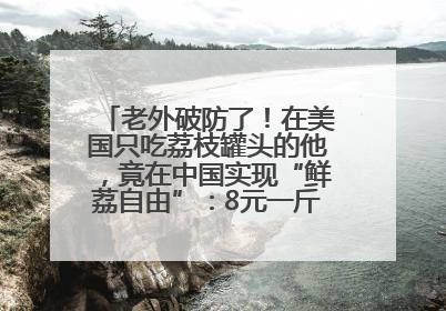 老外破防了！在美国只吃荔枝罐头的他，竟在中国实现“鲜荔自由”：8元一斤敞开吃！