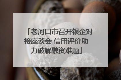 老河口市召开银企对接座谈会 信用评价助力破解融资难题