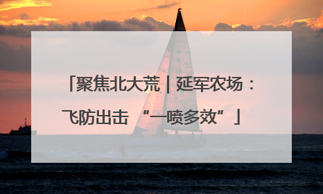 聚焦北大荒｜延军农场：飞防出击 “一喷多效”