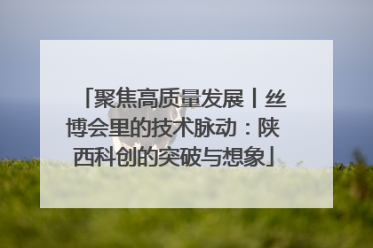 聚焦高质量发展丨丝博会里的技术脉动：陕西科创的突破与想象
