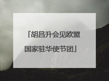 胡昌升会见欧盟国家驻华使节团