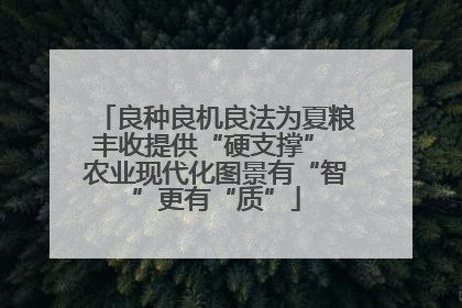 良种良机良法为夏粮丰收提供“硬支撑” 农业现代化图景有“智”更有“质”