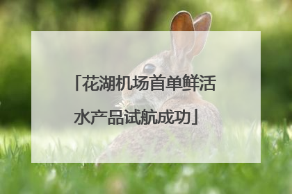 花湖机场首单鲜活水产品试航成功