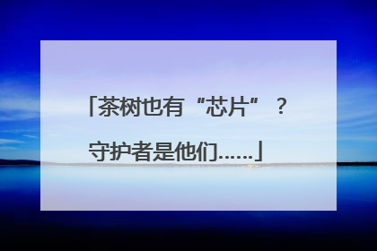 茶树也有“芯片”？守护者是他们……