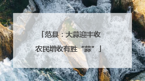 范县：大蒜迎丰收 农民增收有胜“蒜”