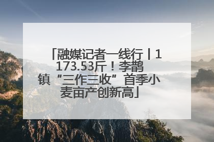 融媒记者一线行丨1173.53斤！李鹊镇“三作三收”首季小麦亩产创新高