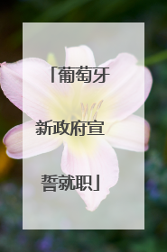 葡萄牙新政府宣誓就职